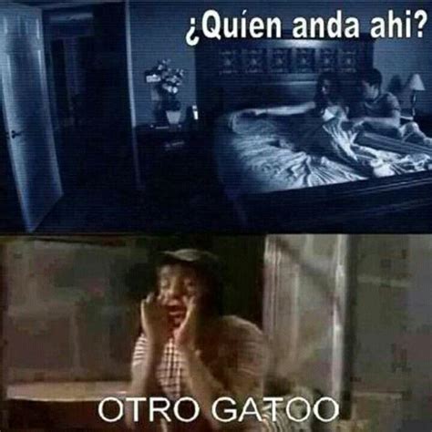 Otro Gato 😂😂😂😺 Memes Divertidos Meme Gracioso Memes De Risa