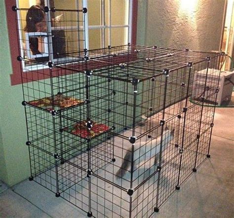 Indoor Cat Cages Enclosures - Ideas on Foter