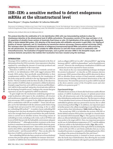 Pdf Ishiem A Sensitive Method To Detect Endogenous Mrnas At The