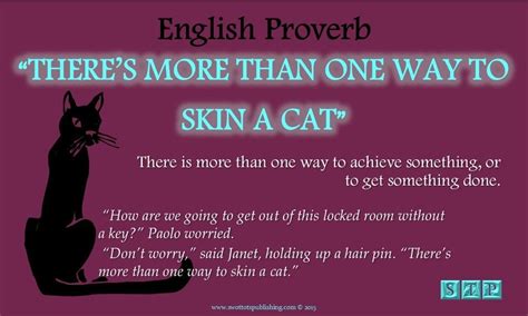 Skin a Cat (Proverbs, Phrases, & Idioms) - Vocabulary Infographic | Vocabulary, Proverbs, Idioms