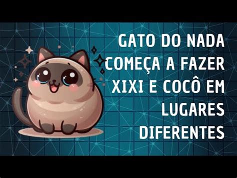 Gato do nada começa a fazer xixi e cocô em lugares diferentes YouTube