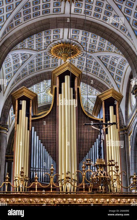 pipe organ  ceiling cathedral   lady   immaculate