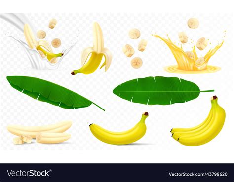 Set Of Banana Fruits Bunch Bananas Peel Peeled Vector Image