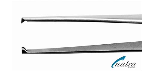 X Gewebe Pinzette Cm X Z Hne Chirurgische Anatomische Op Forceps