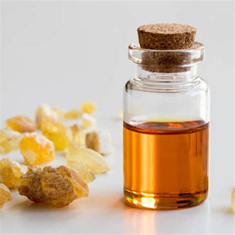 Frankincense Oil At Best Price In New Delhi Delhi Rmayra Natural Impex