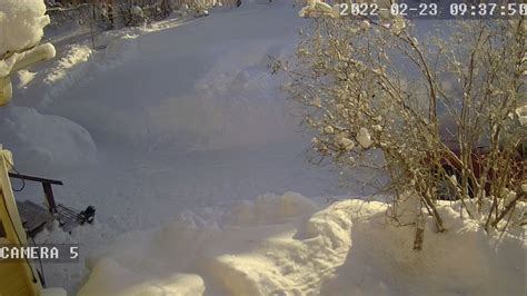 Home Web Camera Lieksa Finland About