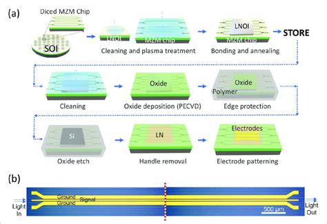 A The Fabrication Process Flow Of Hybrid Bonded Thin Film LN MZM B