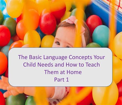 The Basic Language Concepts Your Child Needs Are Those That Enable Them