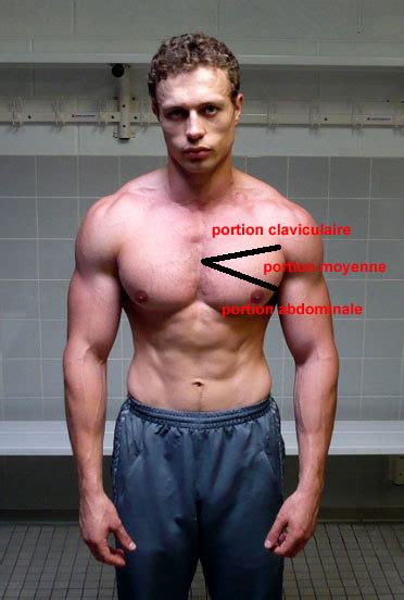 Comment muscler l intérieur des pectoraux Muscu maison