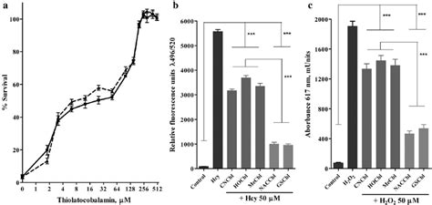 Thiolatocobalamins Protect Huvecs From The Effects Of Hcy A Huvecs