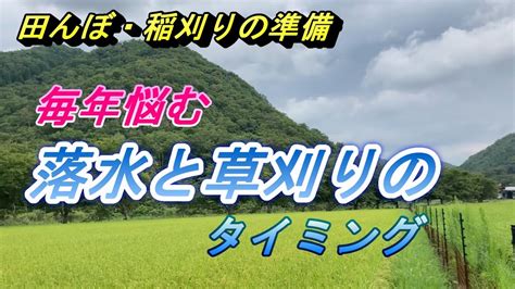 【田んぼ】稲刈りの準備、毎年悩む落水と草刈りのタイミング。今年も無事に稲刈りが出来ますように。 Youtube