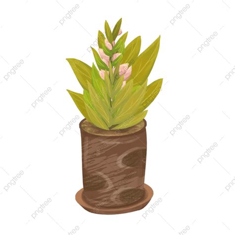 Plant Pots Png Transparent Potted Plants Green Plants Plant Pot