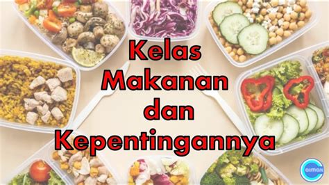 Sains Tahun 3 Manusia Kelas Makanan Dan Kepentingannya Youtube