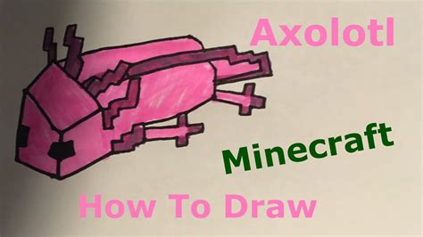 How To Draw Minecraft Axolotl Step By Step Youtube