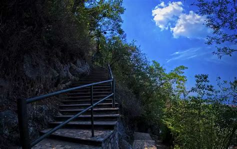 Sendero Al Cerro Del Borrego En Orizaba Veracruz