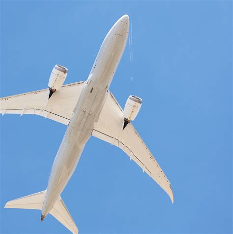 In the middle of a pandemic a boeing 787 breaks passenger flight