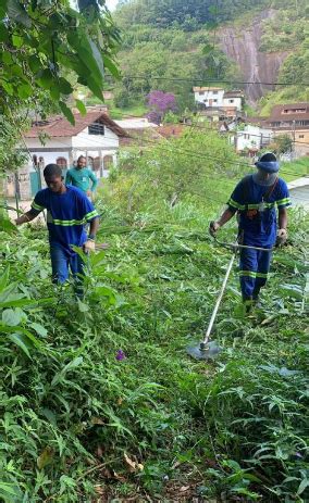Serviço De Capina E Roçagem