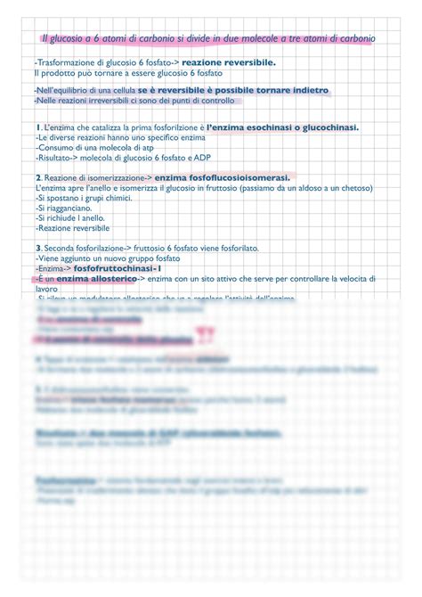 SOLUTION Metabolismo Glucosio Studypool