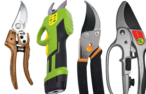 The best pruning shears of 2024 | Popular Science