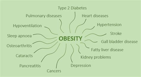 Obesity The Mother Of Most Chronic Conditions Ageingray