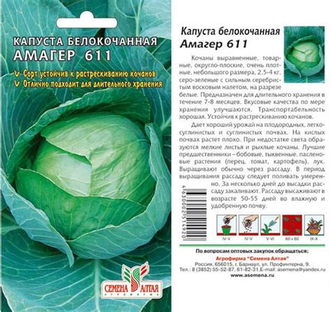 Капуста Амагер: описание и характеристика сорта, секреты ухода и ...