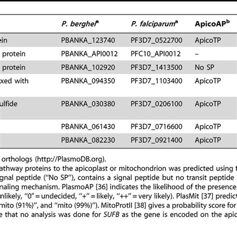 Plasmodium [fe S] Biosynthesis Pathway Proteins Of The Apicoplast Download Table