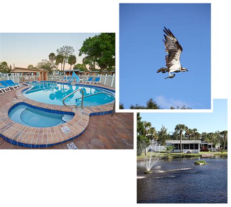 Space Coast Rv Resort Just Another Rv Resort Sites Site