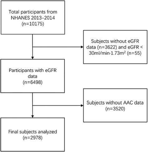 Frontiers The Estimated Glomerular Filtration Rate Was U Shaped