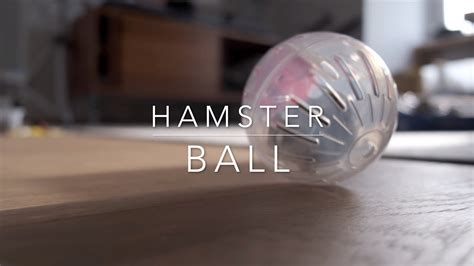 Hamster Ball Youtube