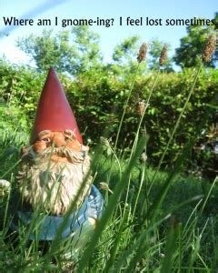 163 best Gnome Memes: Funny Gnomes images on Pinterest | Funny gnomes, Garden gnomes and Elves