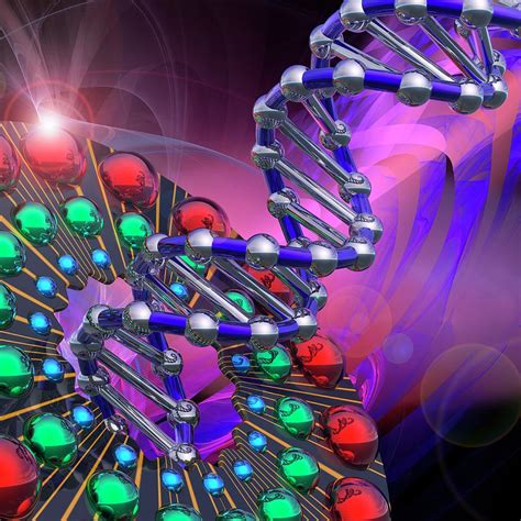 Dna Molecule Photograph By Laguna Design Science Photo Library Fine