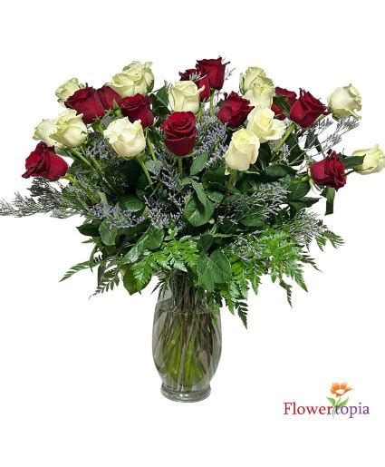 Long Stem White Flower Bouquet Best Flower Site