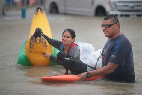 Photos Pet Rescues In Harveys Wake The Atlantic