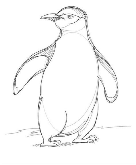 How to draw a penguin with a pencil step-by-step drawing tutorial