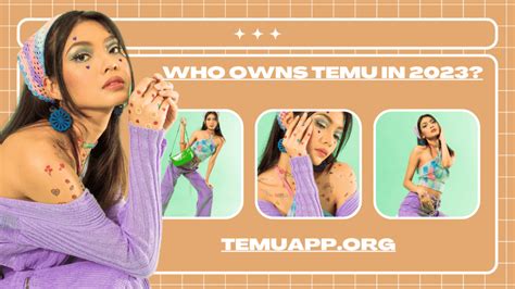 Who Owns Temu in 2024? Unraveling the Ownership of the Popular Online ...