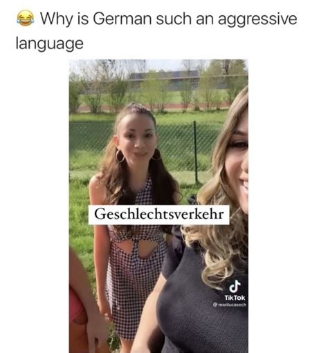 This Word Means Sex In English The German Translation Is The Entire English Alphabet R Funny