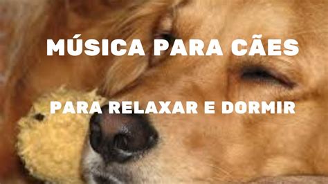 Música calma para cães relaxar dormir Música relaxante para cachorros