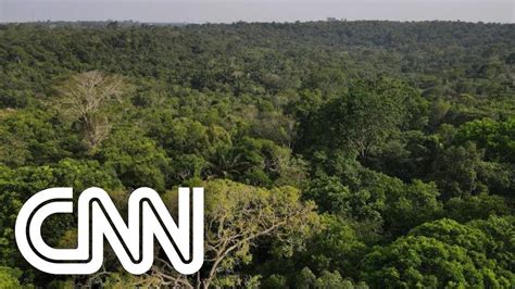 Desmatamento na Amazônia bate recorde em fevereiro CNN 360º YouTube