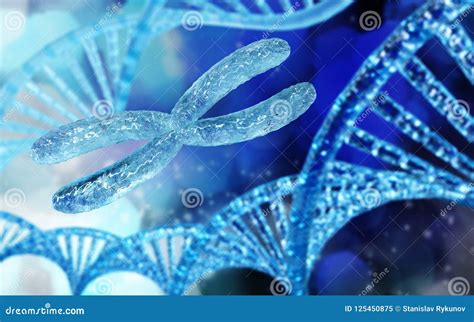 Chromosome Dna Spiral Stock Illustration Illustration Of Human