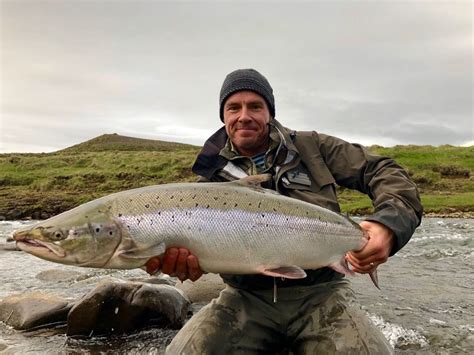 River Midfjardara - Fishing Iceland