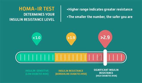 Are You Insulin Sensitive Vida Integrated Health