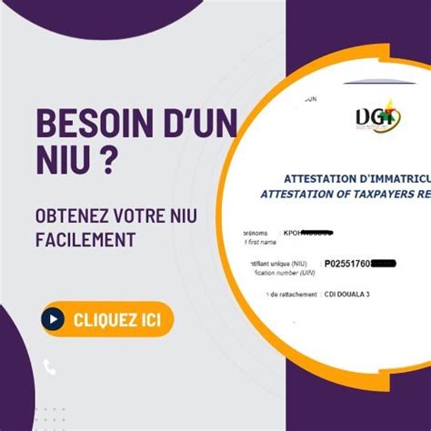 Obtenez votre numéro didentifiant unique NIU en 1 min 2024