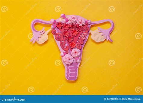 The Women`s Reproductive System The Concept Of Endometriosis Of The