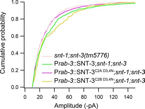 Effects Of Overexpression Of Wt Or Mutated Snt On Mepsc Amplitude In