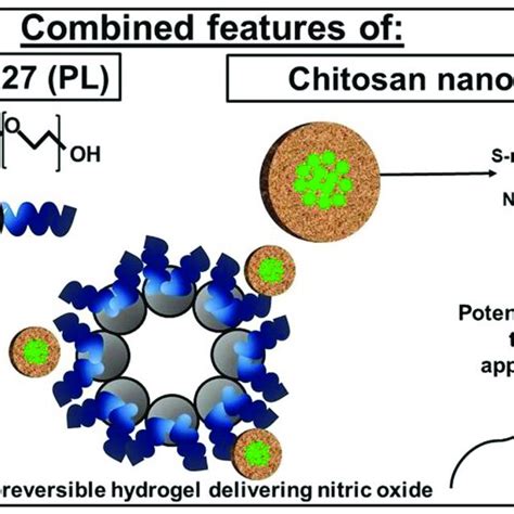 Schematic Illustration Of Synthesis And Characterization Of