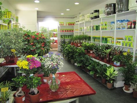 La Tienda De Nuestro Vivero Con Plantas De Interior Semillas Etc