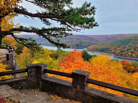 Allegheny National Forest 100 Years In The Making Where And When