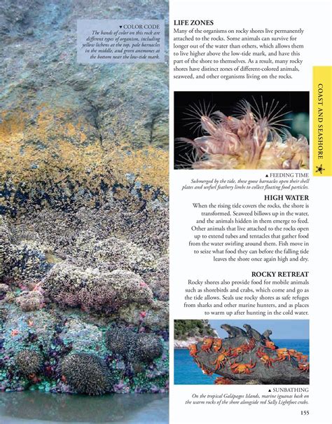 Ocean_ A Visual Encyclopedia - THE MANTHAN SCHOOL - Page 157 | Flip PDF