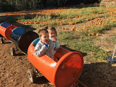 Back To Webb Ranch Pumpkin Patch With First Time Visitors A Pair Of