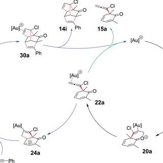 Possible Reaction Mechanism For The Gold I Catalyzed Dearomatization